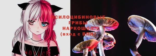 хмурый Горняк
