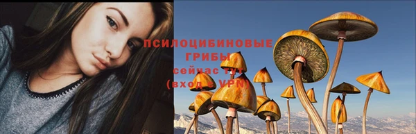 хмурый Горняк