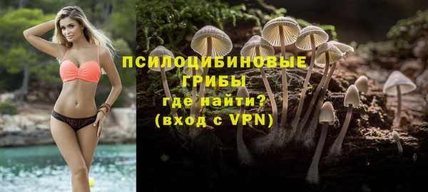 хмурый Горняк