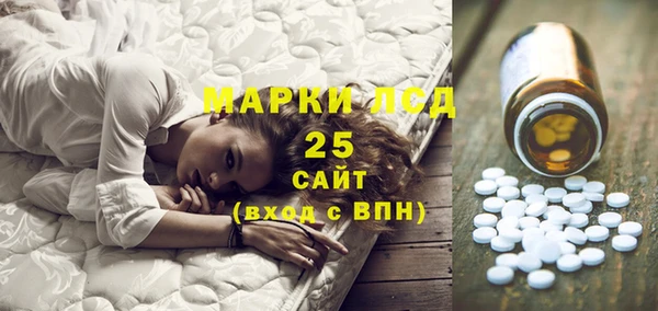 хмурый Горняк