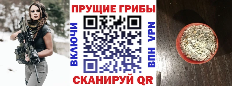 Купить где  Верхнеуральск  Галлюциногенные грибы Cubensis 